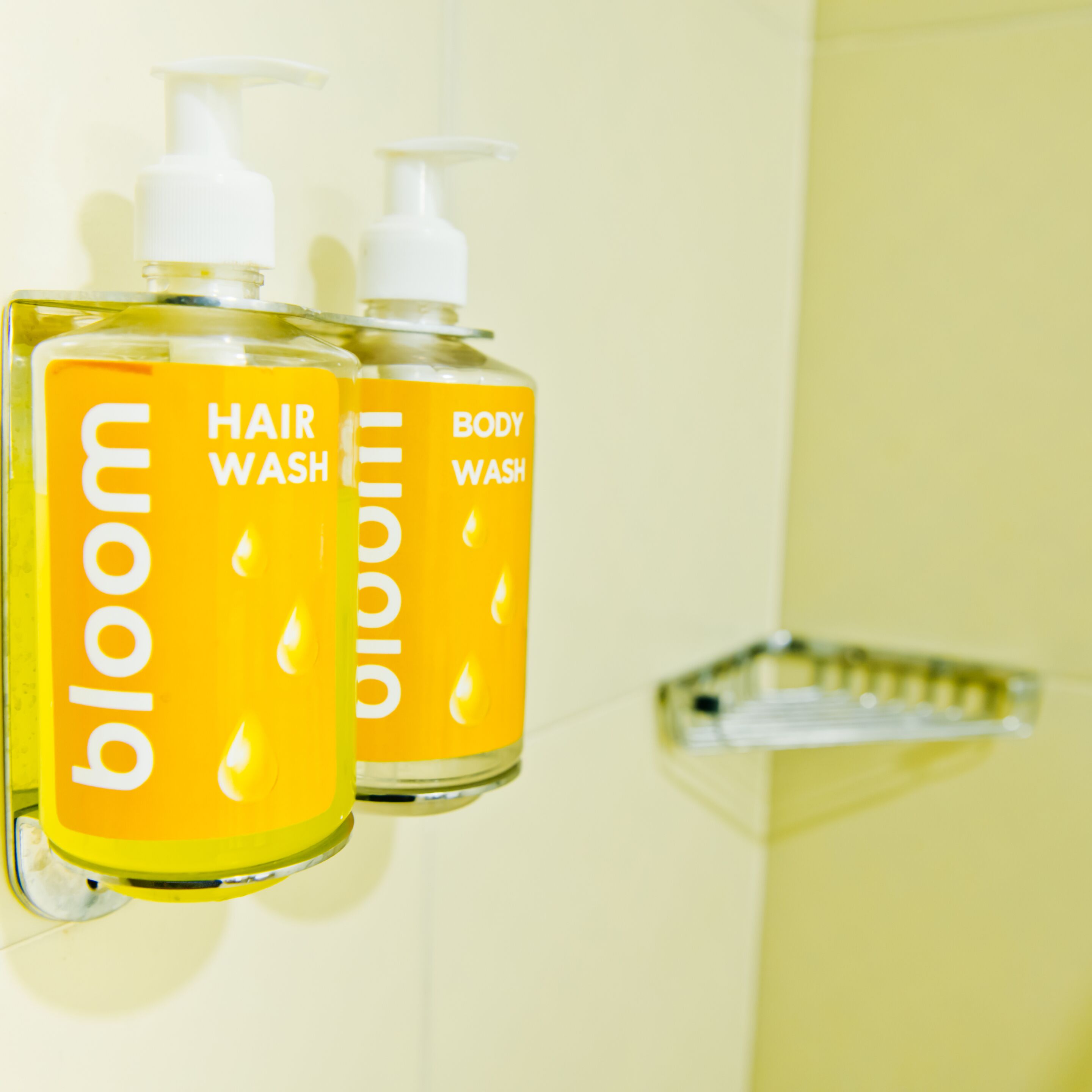 Two bottles of Bloom hair and body wash on a bathroom wall.