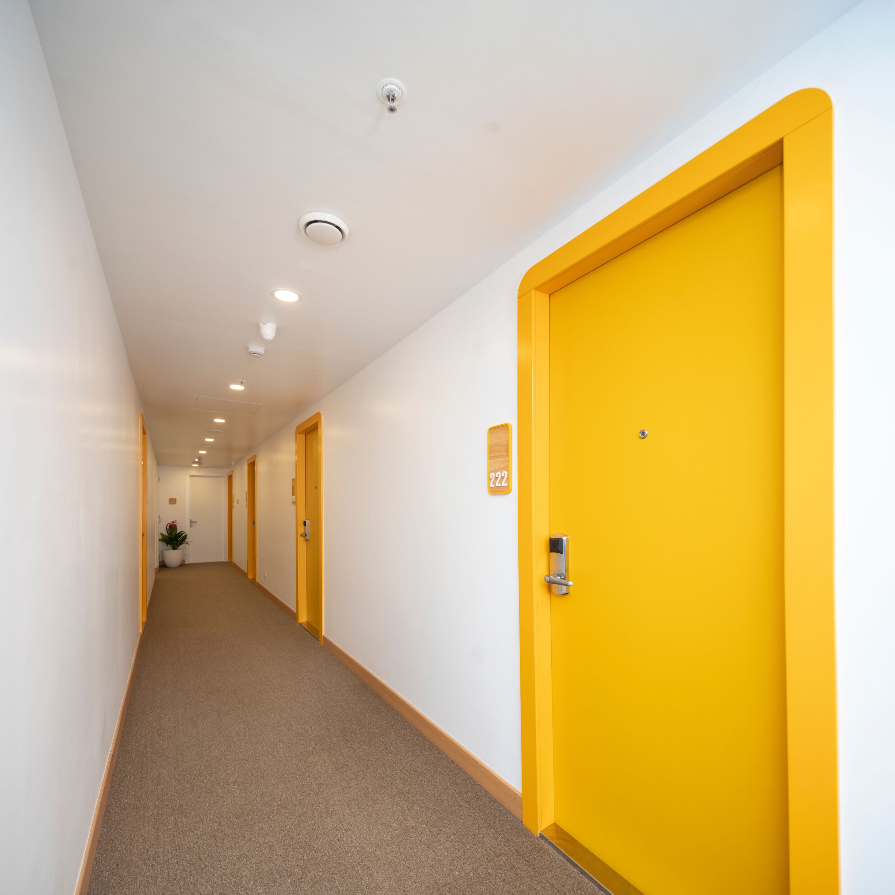 Un couloir d’hôtel avec des portes jaunes, un sol recouvert de moquette et un plafond blanc doté d’un éclairage encastré.