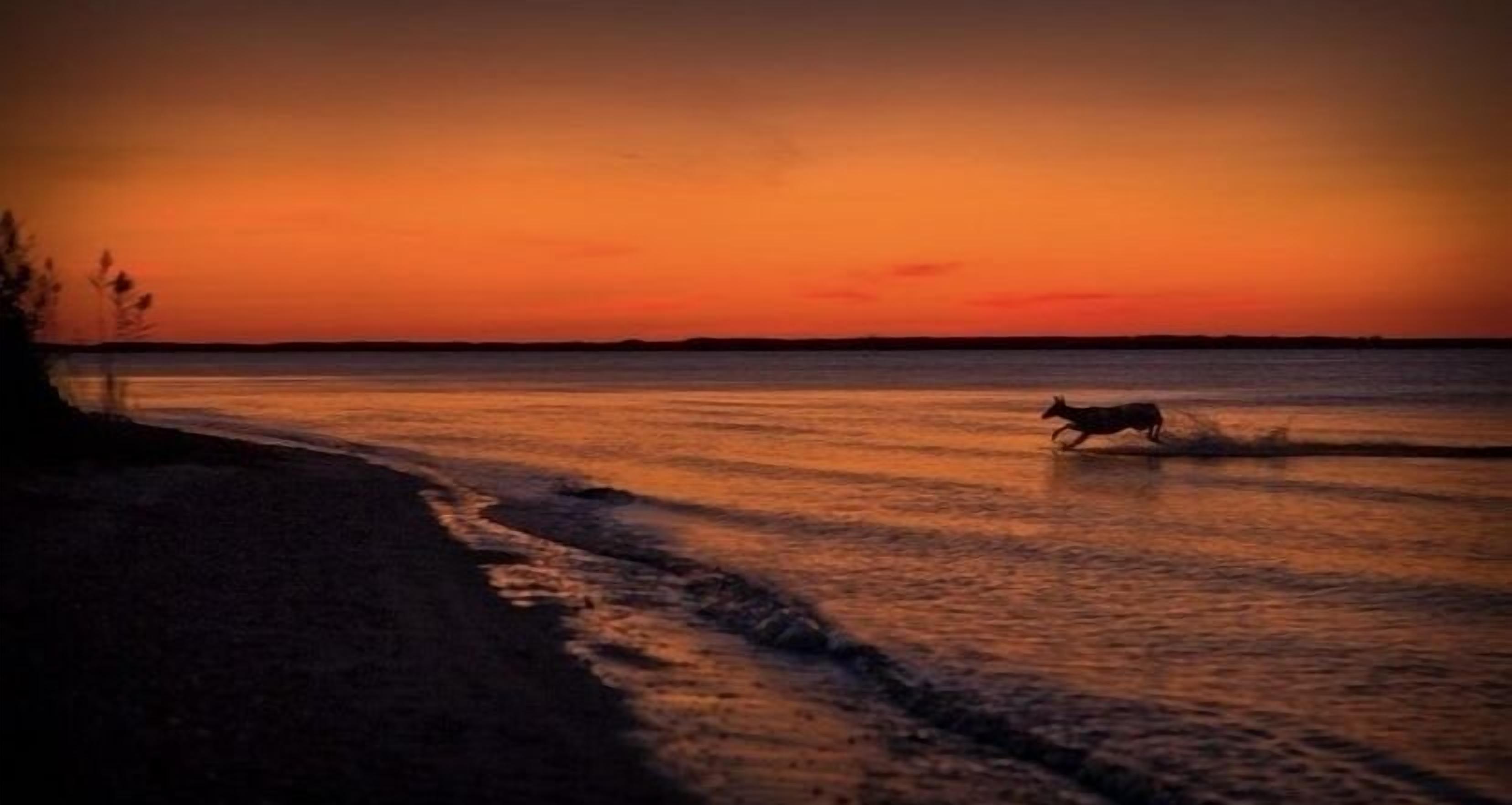Plage