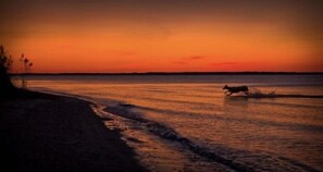 Beach nearby, sun-loungers, beach towels