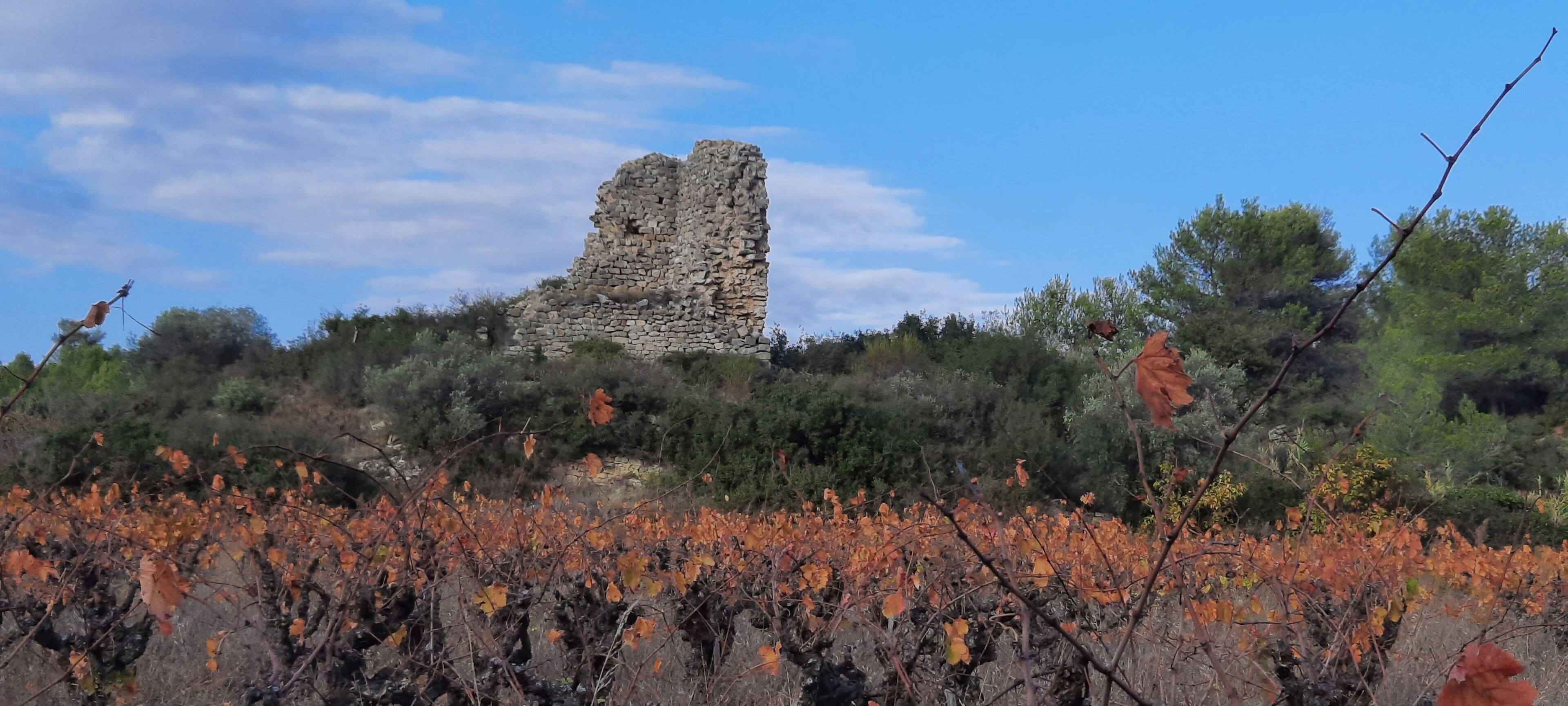 A stone ruin with a clear sky and autumn foliage in the foreground.