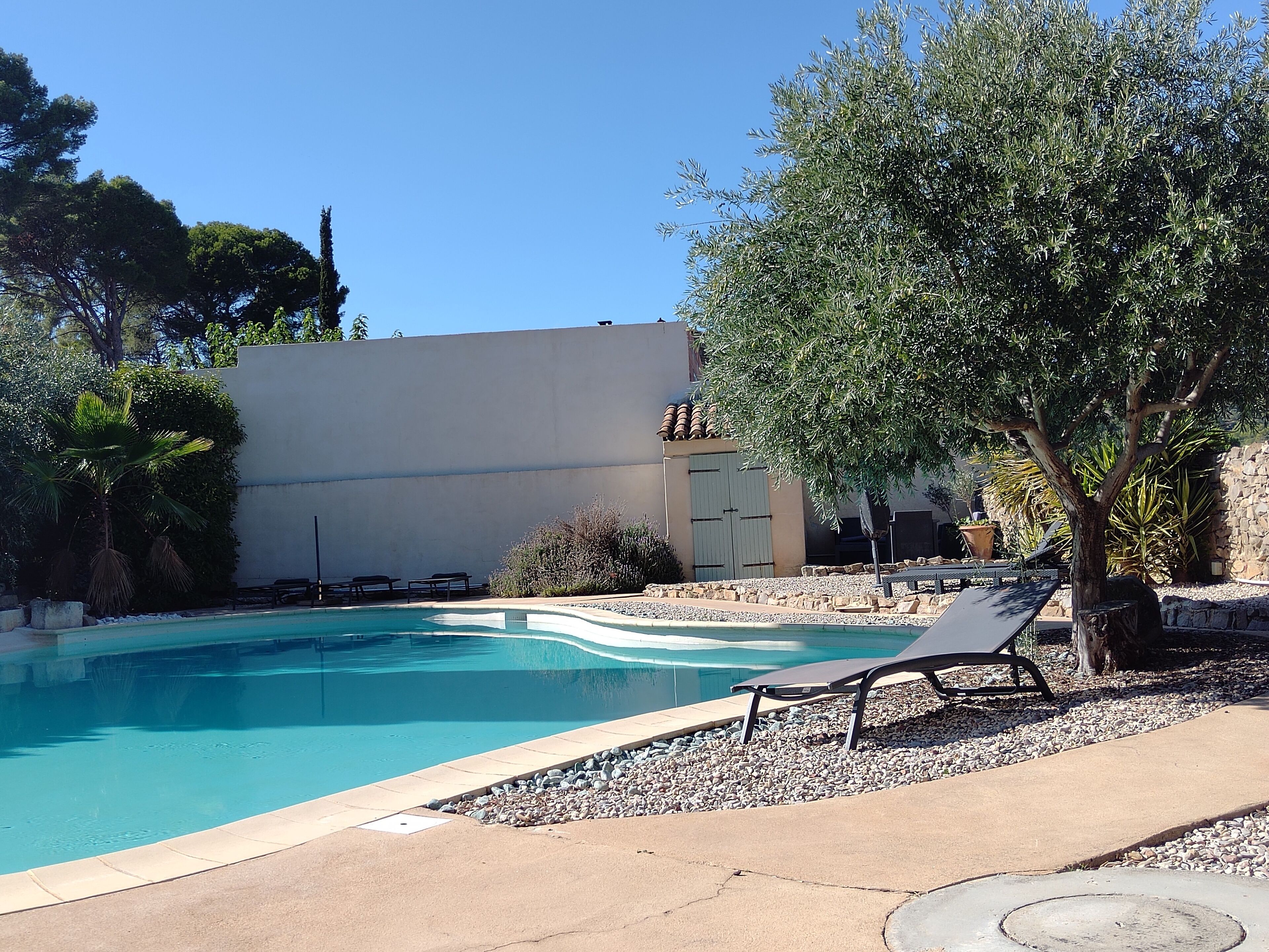 A swimming pool with lounge chairs, surrounded by a garden with various plants and a stone wall.
