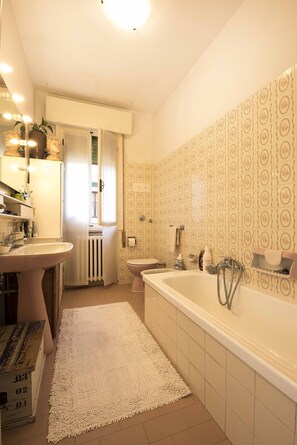 Combined shower/tub, hair dryer, bidet, towels