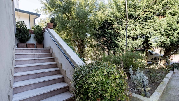 Una serie di gradini in cemento che conducono all'ingresso di un edificio, circondati da vegetazione e alberi.