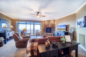 电视、壁炉、DVD 播放器