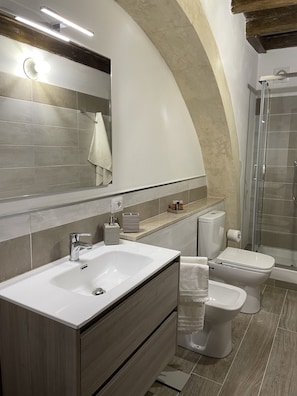Shower, hair dryer, bidet, towels