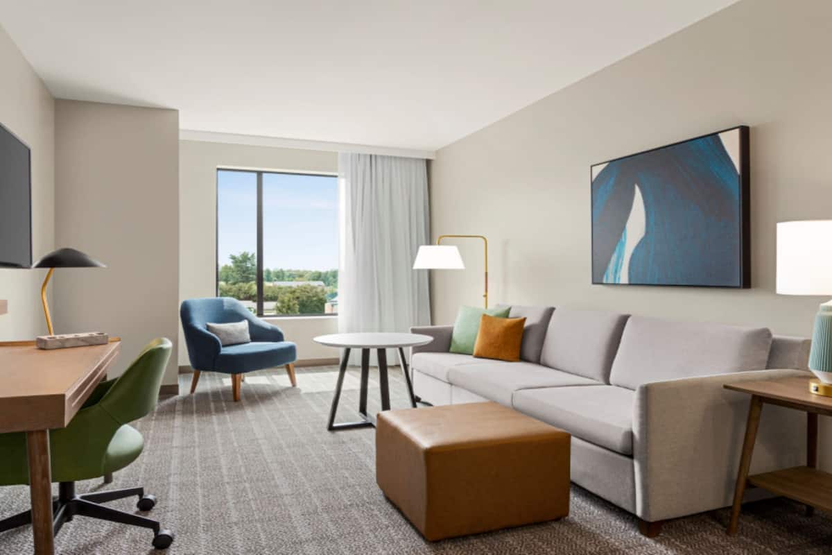 A modern hotel room with a flat-screen TV, a desk, a blue armchair, a gray sofa, a round coffee table, and a large window with a view of greenery.
