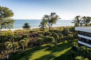 A coastal landscape with a beach, palm trees, and a modern building.