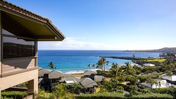 A coastal property with a view of the ocean, multiple buildings with similar architecture, and lush greenery.