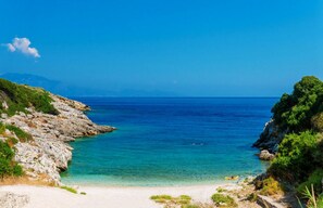 Lettini da mare