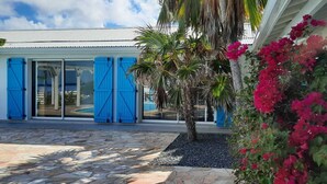 Un edificio con fachada blanca y contraventanas azules, un patio empedrado de piedra y una palmera.