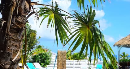 Tiko lodge sxm