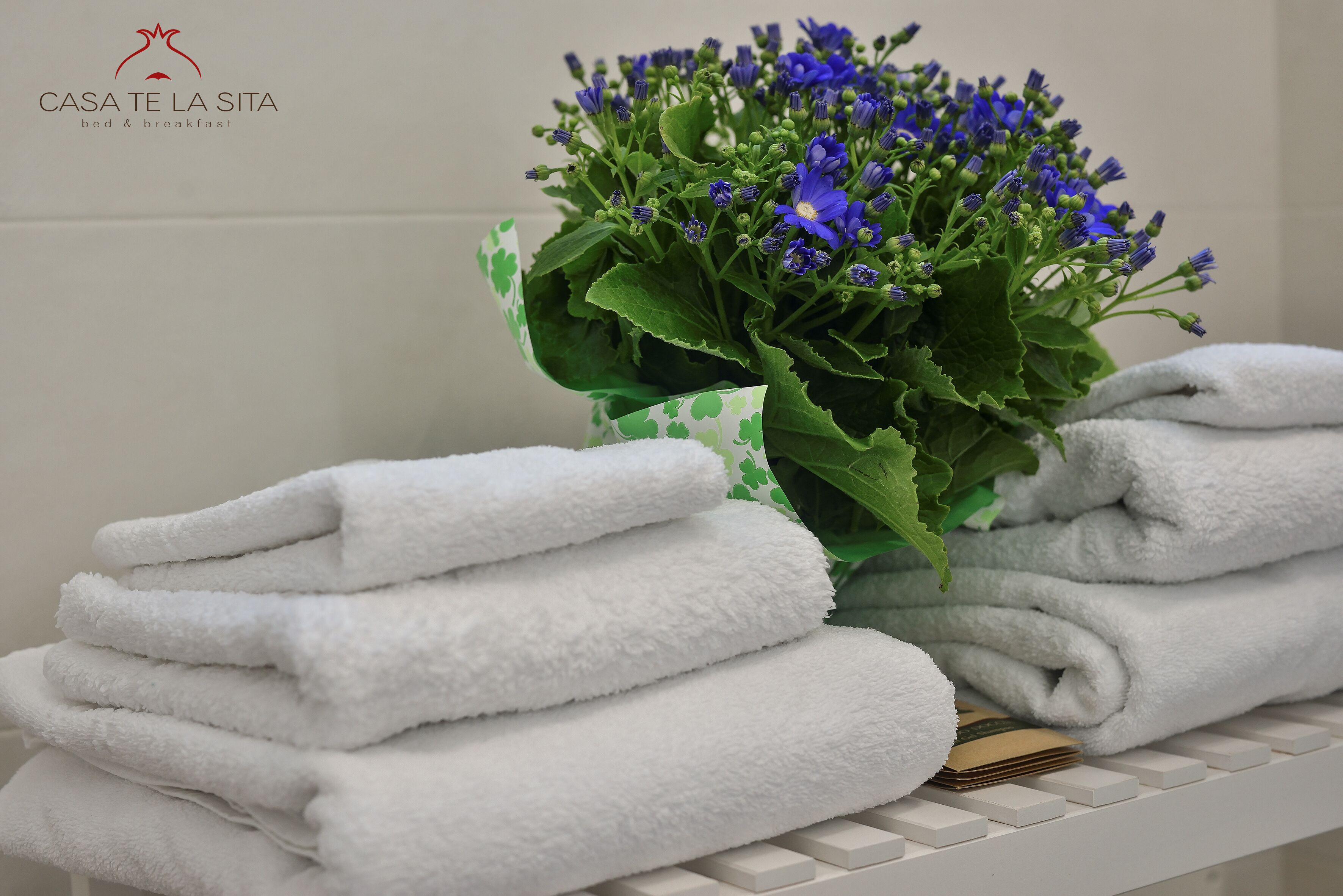 Casa Te La Sita La tua Oasi di Relax nel Salento