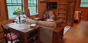 Älytelevisio, DVD-soitin, kirjoja, videokirjasto