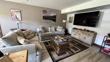 TV connectée, cheminée, lecteur de DVD, livres