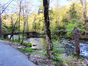 Property grounds - 5 Minutes to National Park - Stunning Mountain Views in Wears Valley - Hot Tub (Sevierville)