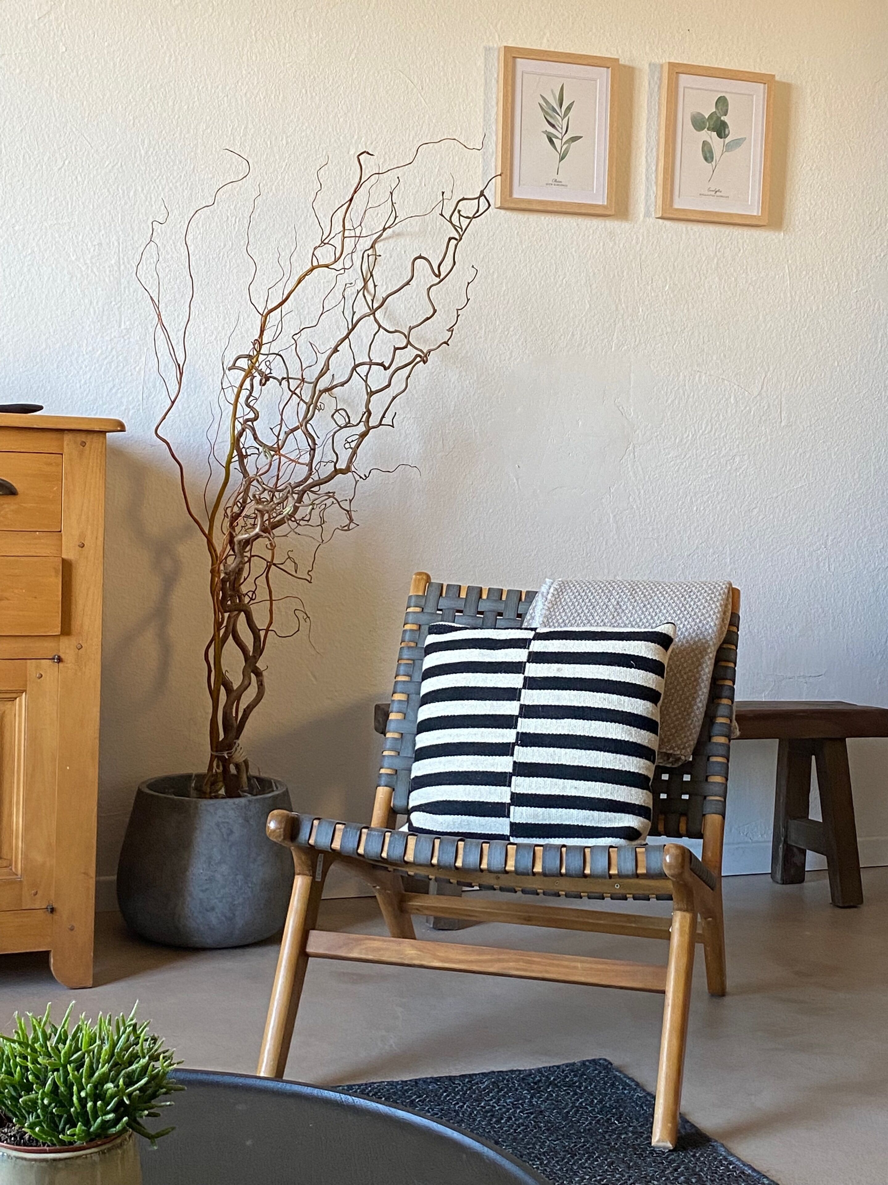 Ein Holzstuhl mit gestreifter Sitzkissen, ein Blumentopf und gerahmte Pflanzenzeichnungen an der Wand.