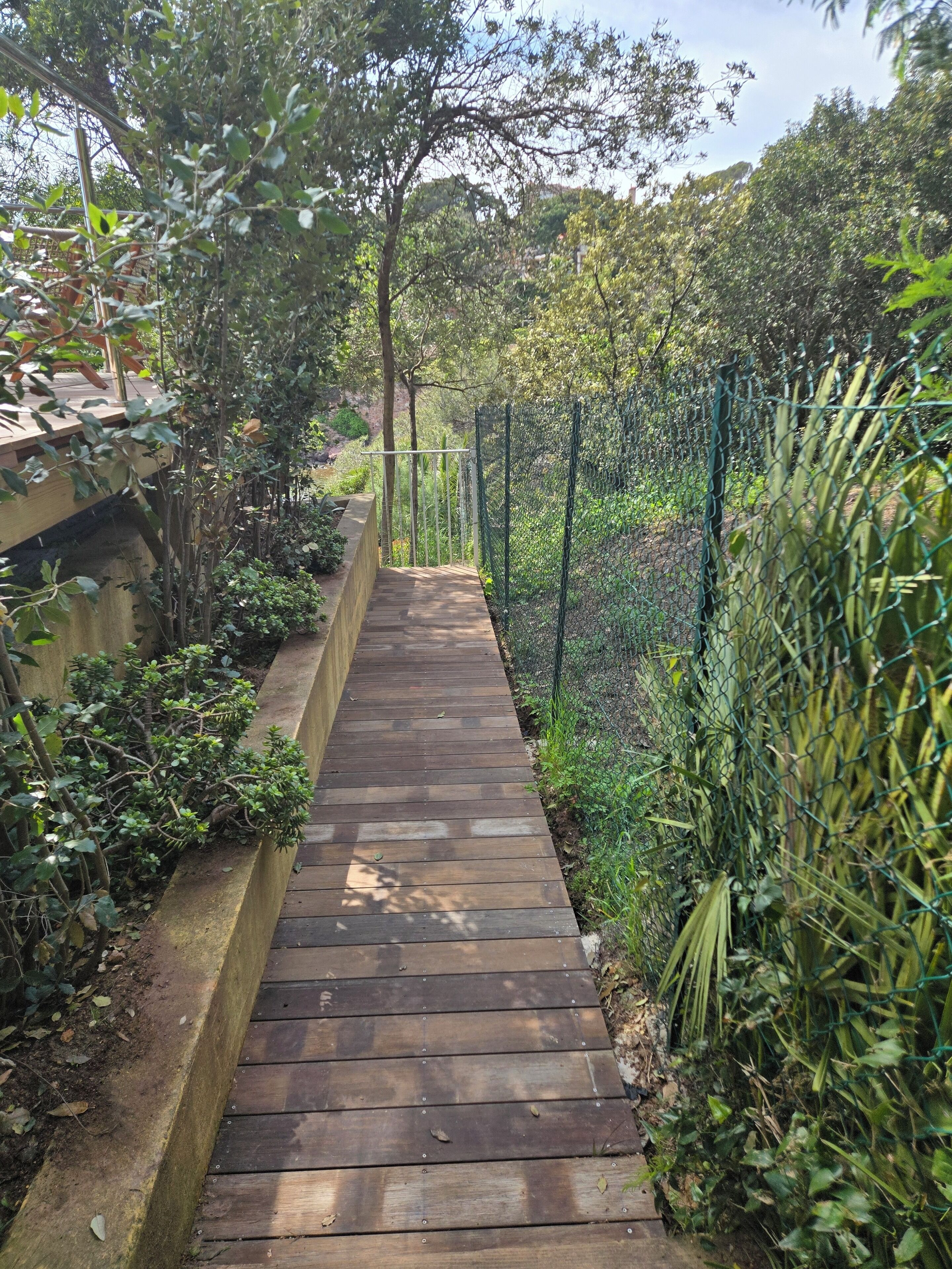 A wooden pathway flanked by greenery and a chain-link fence.