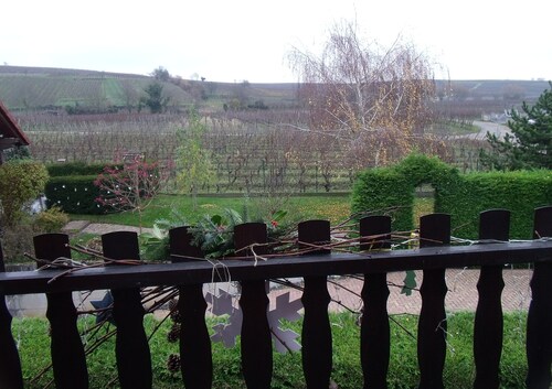 Le Vignoble