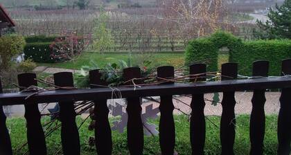 Le Vignoble