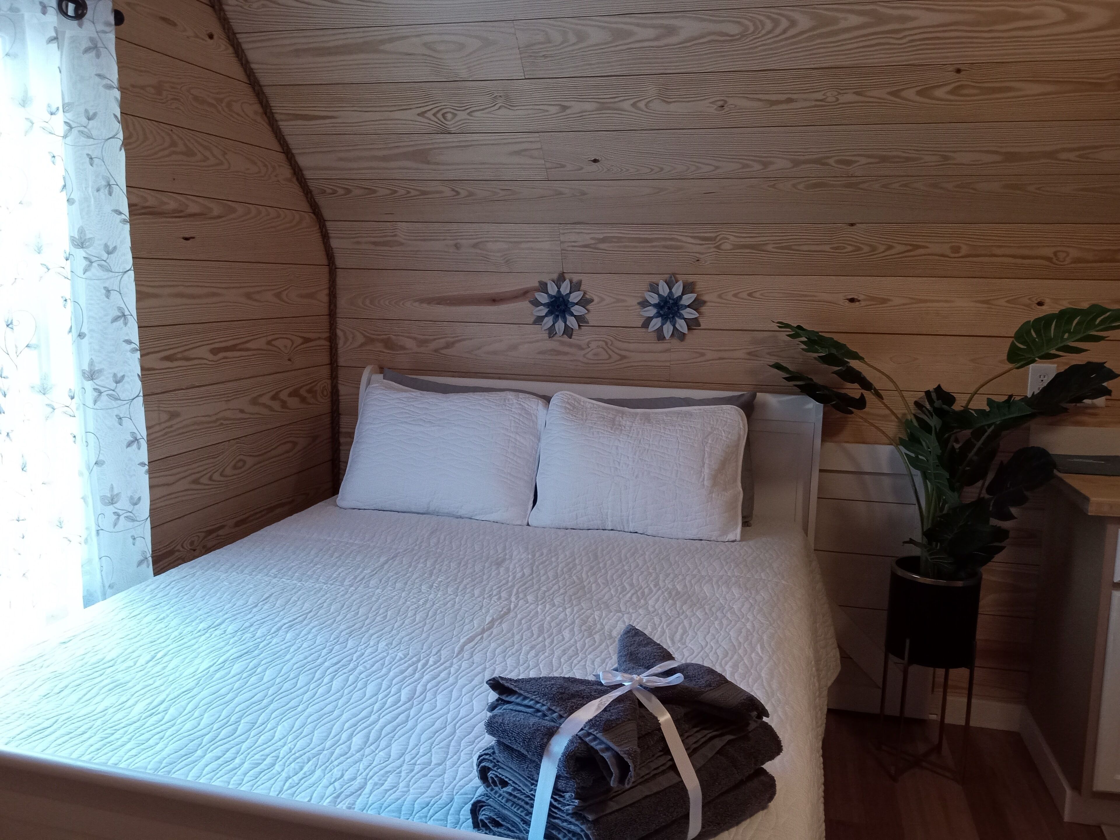 A Bamboo-Inspired Studio in charming Olde Towne