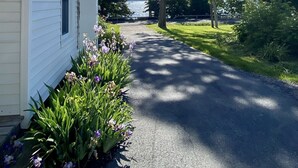 A pathway leading to a white house with a tree and flowers beside it. - NEW Dock with large platform.  Bring the boat!  Lakefront Farmhouse.   (Romulus)