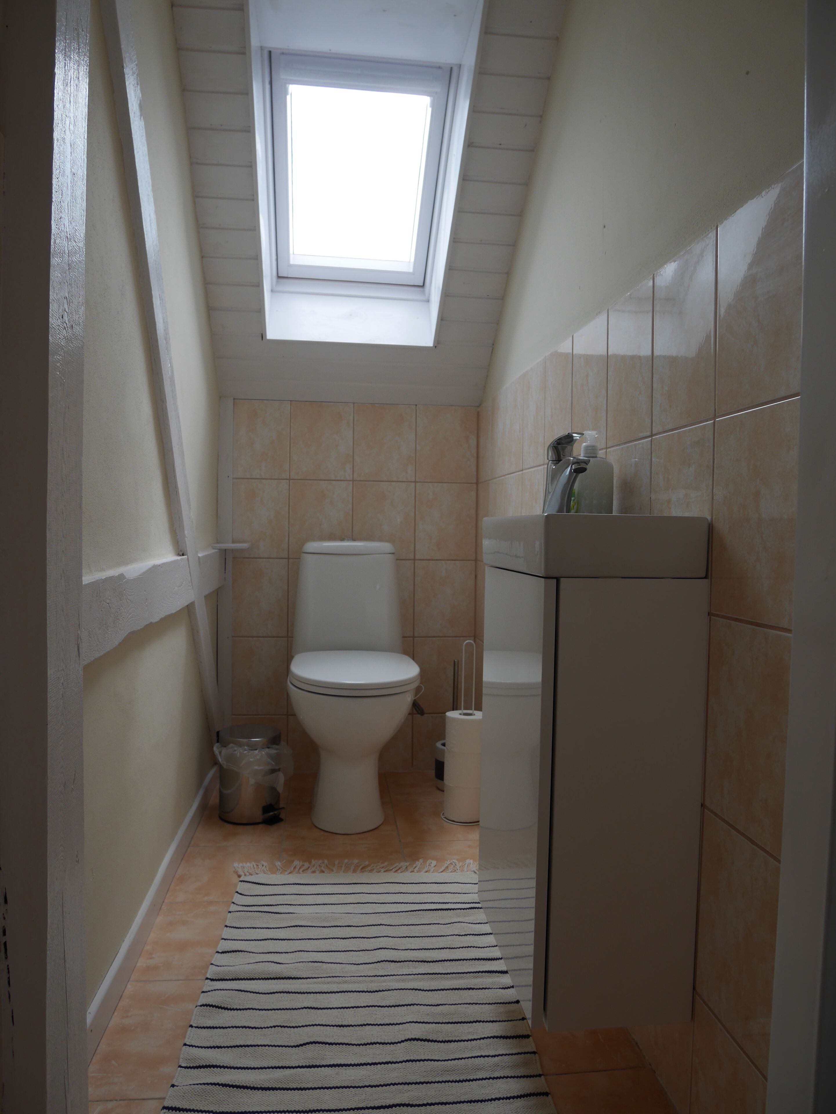 A small, narrow bathroom with a skylight, a toilet, a sink, and a trash bin.
