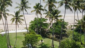 Una propiedad frente a la playa con piscina, palmeras y vista al océano.