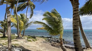 Een strand met palmbomen, een zandpad en uitzicht op de oceaan.