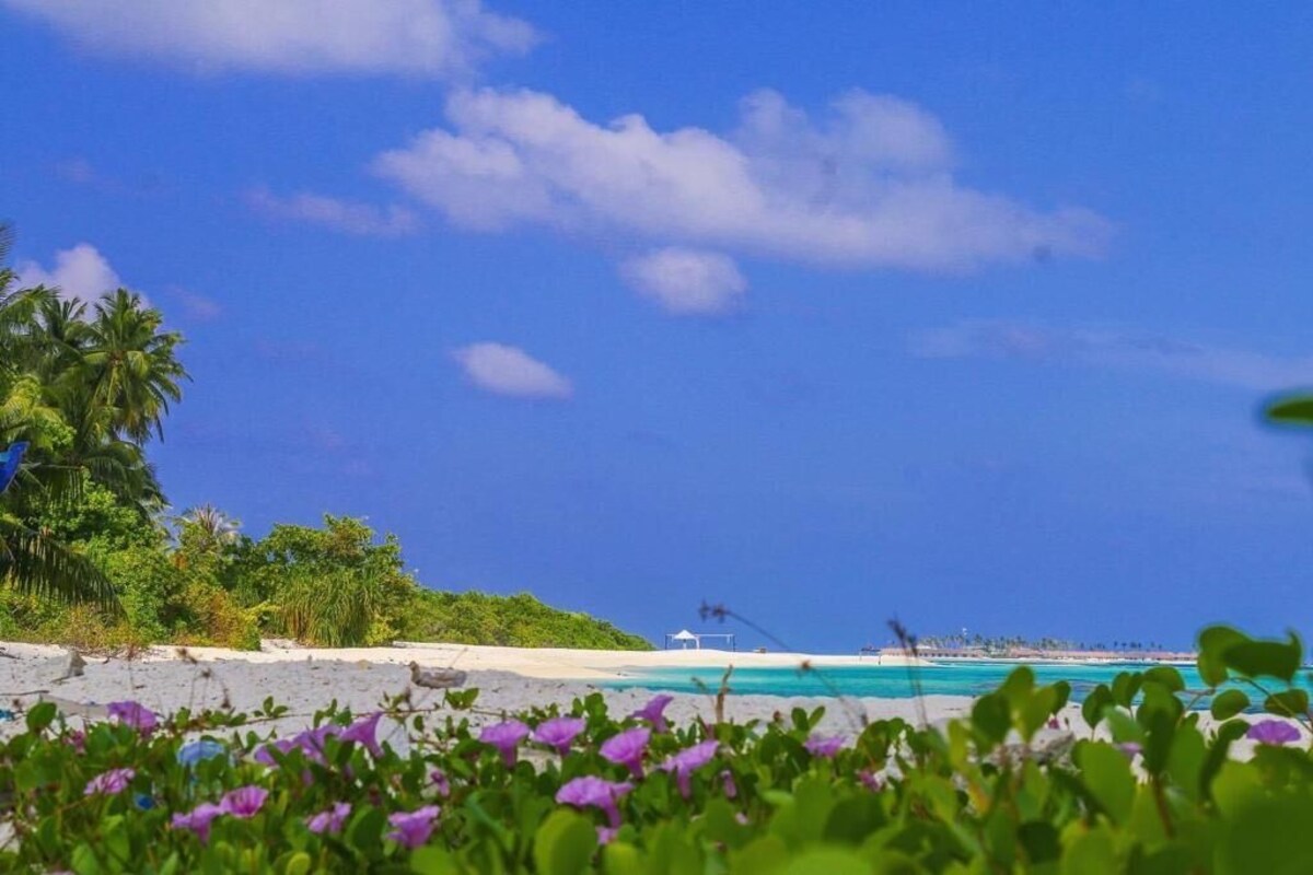 Image de profil de lâhĂŽte