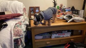 Een slaapkamer met een bed, een houten nachtkastje en een kleine tafel met diverse spullen, waaronder een knuffel, een spel en een lamp.