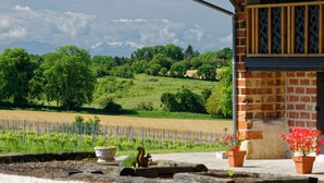 A vineyard with a rustic building, a squirrel, and a clear view of distant mountains. - Charming 9-person gîte with heated swimming pool (Peyrusse-Grande)