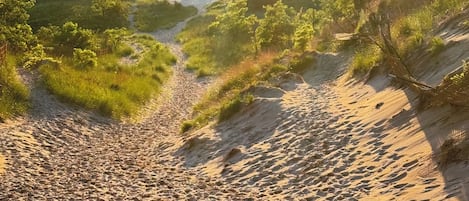 In Strandnähe, Liegestühle, Strandtücher