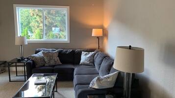 Smart TV, fireplace, books