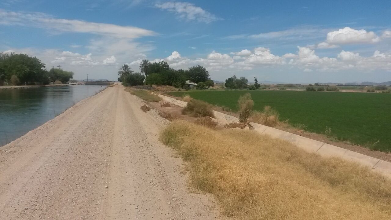 Un camino de tierra al lado de un cuerpo de agua, con campos verdes y árboles al fondo.