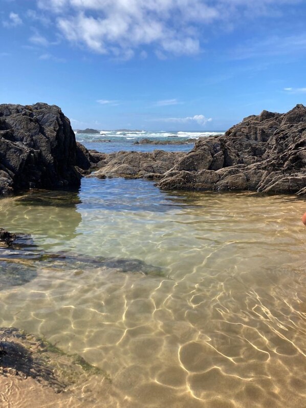 Playa en los alrededores 