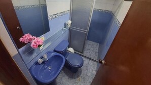 Ein Badezimmer mit blauem Waschbecken, Toilette und Dusche.