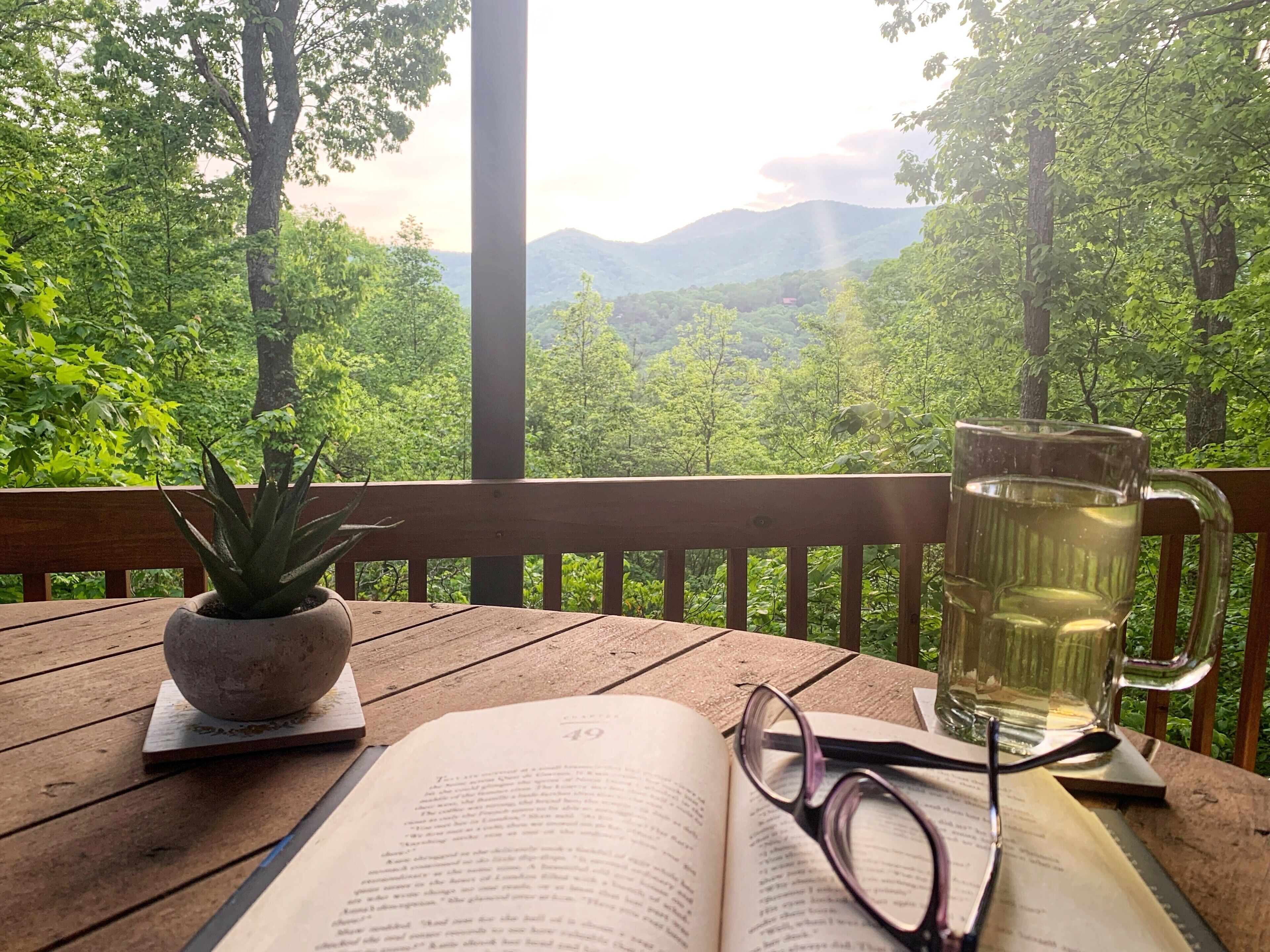 ✨New on VRBO✨ Great Views w Free Wifi +Hot Tub + Fireplace Ellijay & Blue Ridge