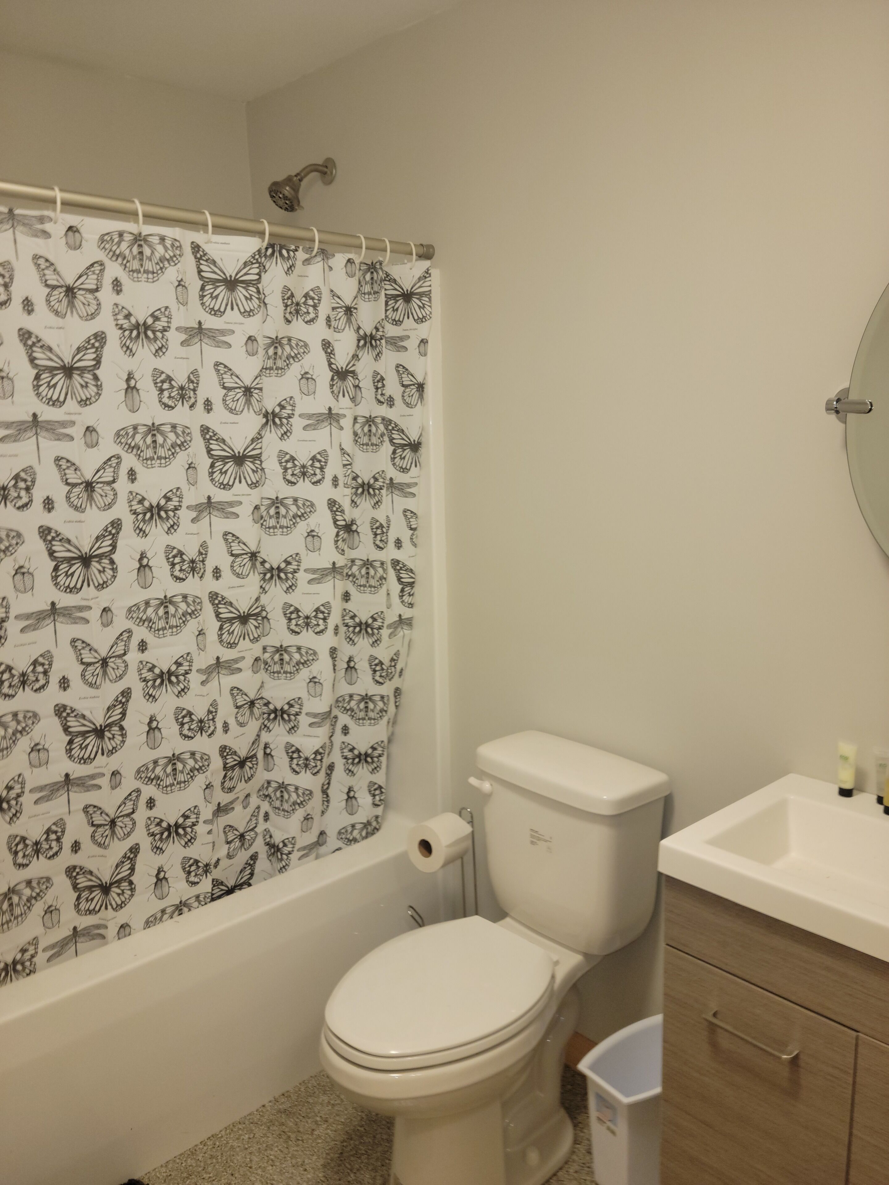 A bathroom with a toilet, a sink, and a shower curtain with a butterfly pattern.