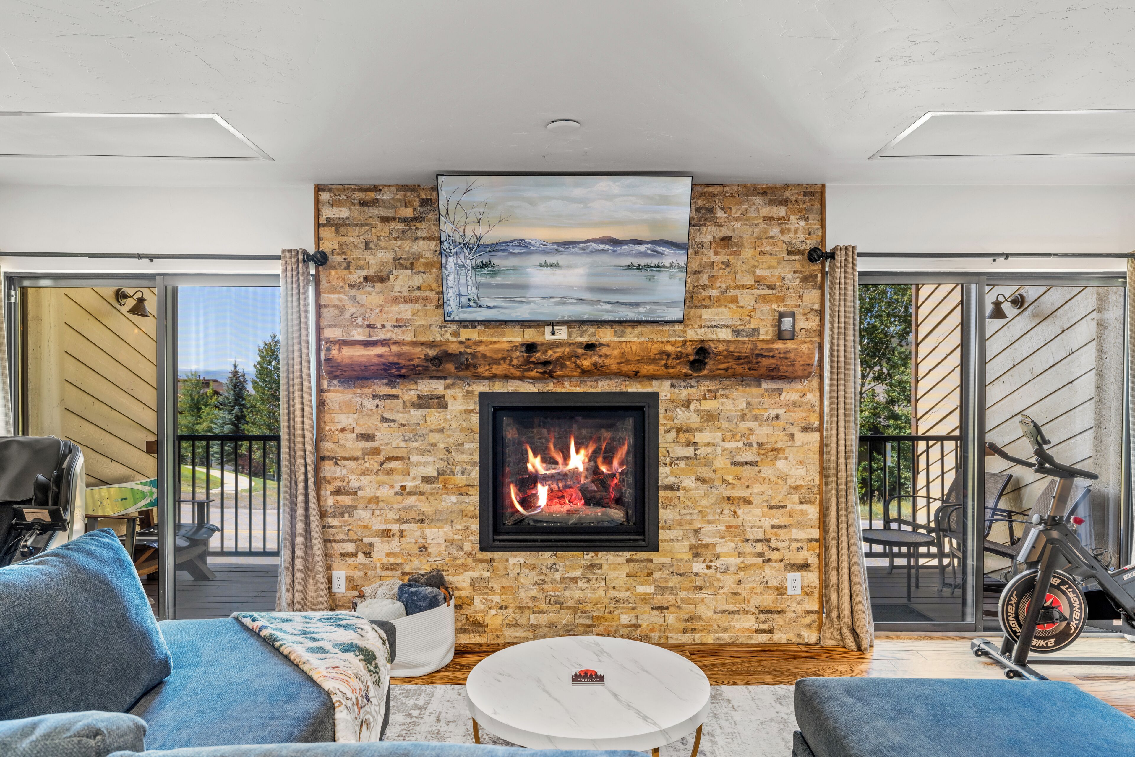 Smart TV, fireplace, books, stereo