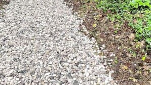 Una cabaña rodeada de un bosque denso, con un camino de grava que lleva a ella.