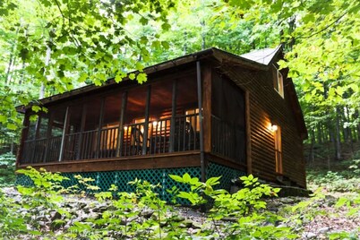 Pleasant Valley Cabin 5 min to downtown Boyne City