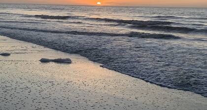 Bike to Beach, Pier & Hotspots! Fenced Yard, Geat Location!