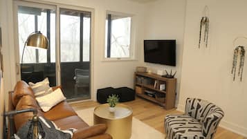 Smart TV, fireplace, DVD player, books