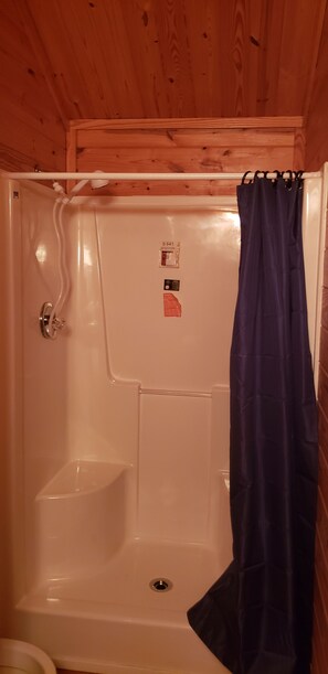 Shower, towels, toilet paper