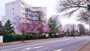 Eine Straße mit Zebrastreifen, einer Ampel und einem Gebäude mit Balkonen.