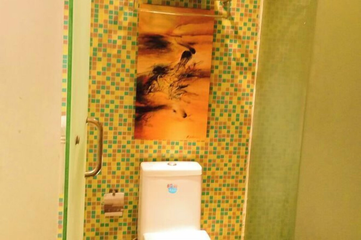 A bathroom with a toilet, a handrail, and a patterned wall.