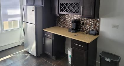 Spacious 3-bedroom, 2-bath condo, free parking/Oak Park