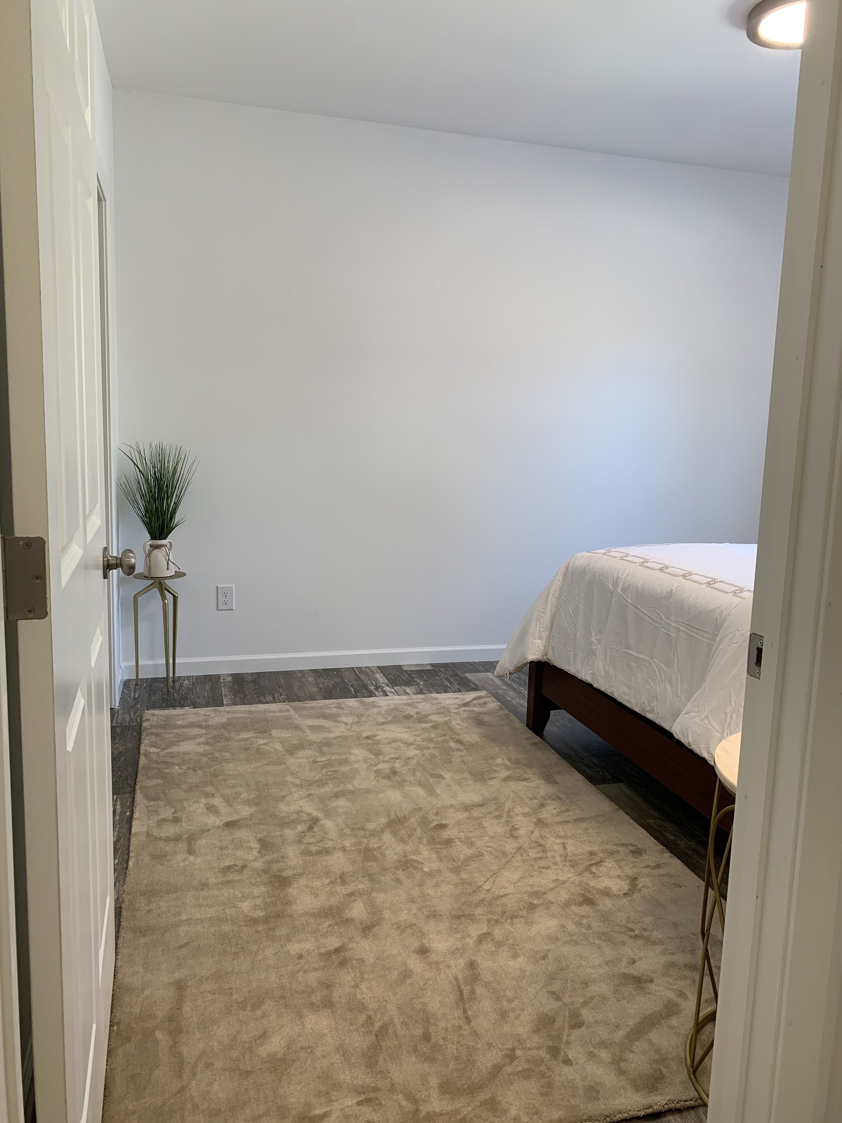 Golden Lantern @ Acadia National Park