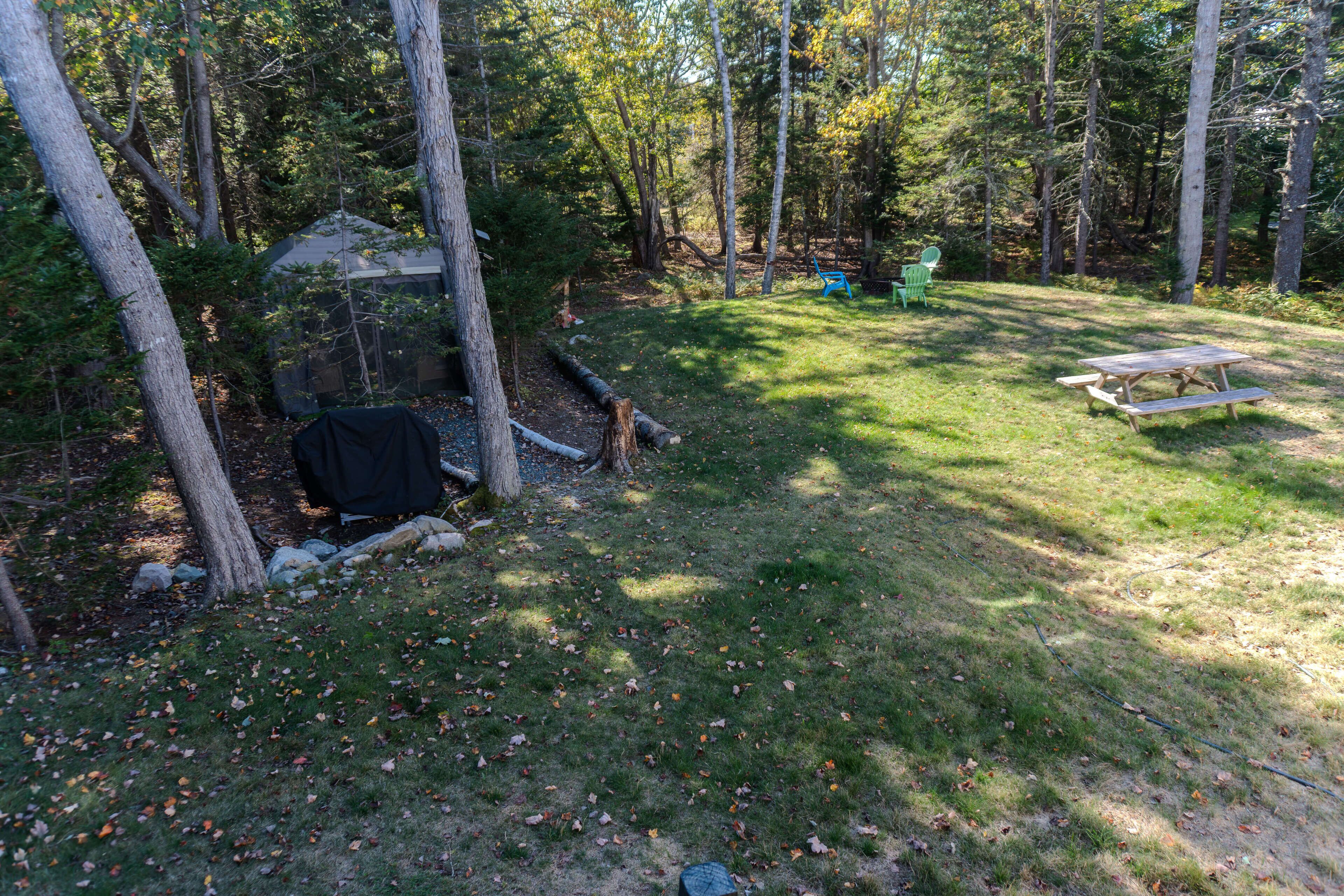 A wooded area with a picnic table and a small shelter.